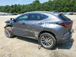 LEXUS NX 350 2023 gray  gas 2T2GGCEZ2PC016876 photo #3