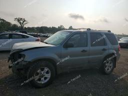 FORD ESCAPE XLT 2005 green  gas 1FMYU93185KD64500 photo #2