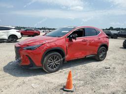 LEXUS NX 350 LUX 2024 red  gas 2T2HGCEZ2RC039355 photo #2