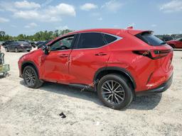 LEXUS NX 350 LUX 2024 red  gas 2T2HGCEZ2RC039355 photo #3