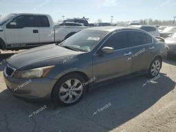 HONDA ACCORD EXL 2010 gray sedan 4d gas 1HGCP2F8XAA161082 photo #2