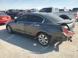 HONDA ACCORD EXL 2010 gray sedan 4d gas 1HGCP2F8XAA161082 photo #3