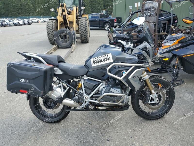 BMW R 1250 GS 2020 gray  gas WB10J9306LZJ18130 photo #1