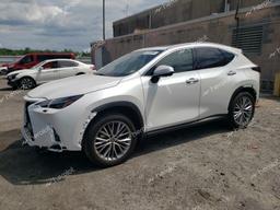 LEXUS NX 350 LUX 2024 white  gas 2T2HGCEZ3RC035668 photo #2