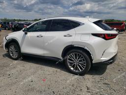 LEXUS NX 350 LUX 2024 white  gas 2T2HGCEZ3RC035668 photo #3