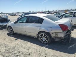 NISSAN MAXIMA SE 2004 silver  gas 1N4BA41E44C879987 photo #3