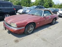 JAGUAR XJS 2+2 1995 burgundy  gas SAJNX2748SC195225 photo #2