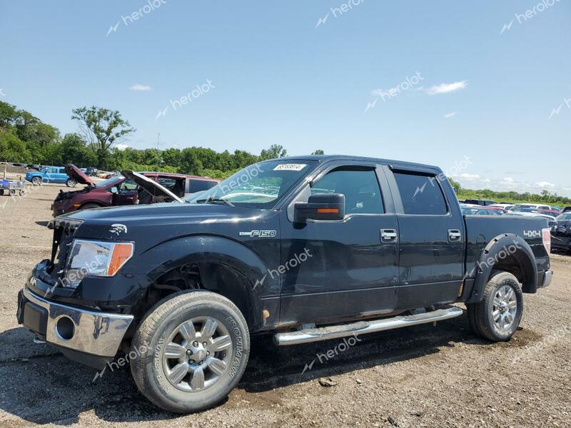 FORD F150 SUPER 2009 black  flexible fuel 1FTPW14V39FA19631 photo #1