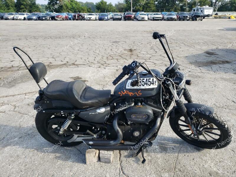 HARLEY-DAVIDSON XL883 N 2009 gray road/str gas 1HD4LE2439K461313 photo #1