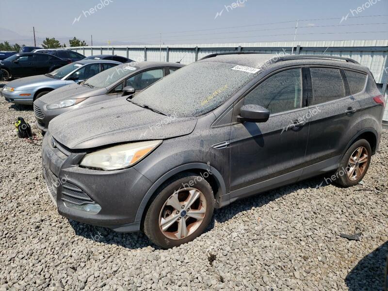 FORD ESCAPE SE 2013 gray 4dr spor gas 1FMCU0G96DUD12291 photo #1