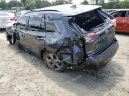 TOYOTA RAV4 XLE 2023 gray  gas 2T3W1RFV2PC250667 photo #3