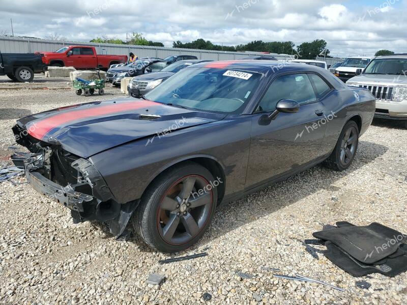 DODGE CHALLENGER 2013 gray  flexible fuel 2C3CDYAG6DH632924 photo #1