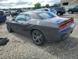 DODGE CHALLENGER 2013 gray  flexible fuel 2C3CDYAG6DH632924 photo #3