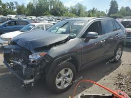 TOYOTA RAV4 XLE 2020 black  gas 2T3P1RFV8LC128054 photo #2