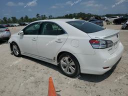 LEXUS HS 250H 2010 white  hybrid engine JTHBB1BA2A2036176 photo #3