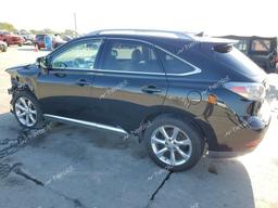 LEXUS RX 350 2010 black  gas 2T2ZK1BA1AC026235 photo #3