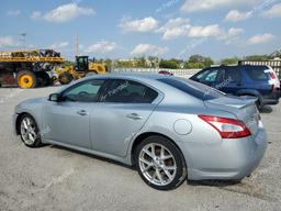 NISSAN MAXIMA S 2009 silver  gas 1N4AA51E39C855950 photo #3