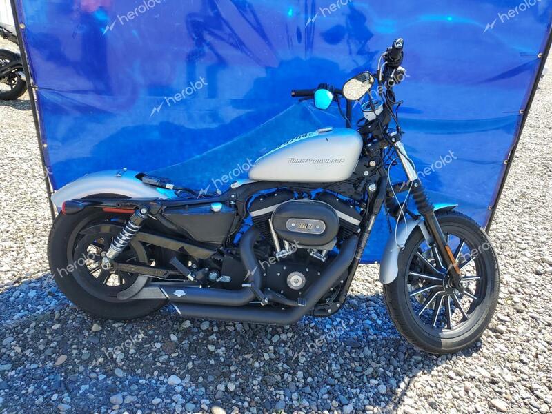 HARLEY-DAVIDSON XL883N 2009 silver  gas 1HD4LE2439K439814 photo #1