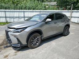 LEXUS NX 350 2023 gray  gas 2T2GGCEZ5PC017911 photo #2