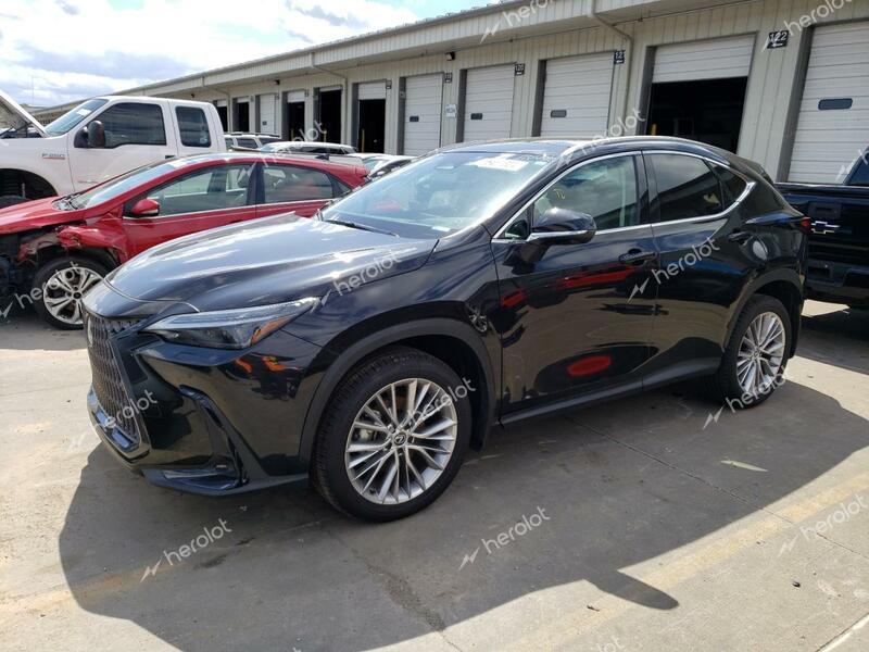 LEXUS NX 350 LUX 2024 gray  gas 2T2HGCEZ2RC039677 photo #1