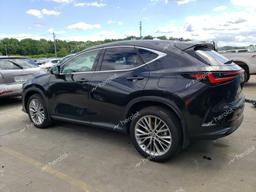 LEXUS NX 350 LUX 2024 gray  gas 2T2HGCEZ2RC039677 photo #3