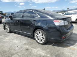 LEXUS HS 250H 2011 black sedan 4d hybrid engine JTHBB1BA5B2047738 photo #3