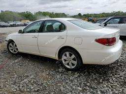 LEXUS ES 330 2005 white  gas JTHBA30G955073378 photo #3