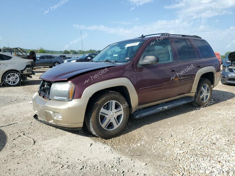 CHEVROLET TRAILBLAZE 2006 burgundy  gas 1GNDT13S662150629 photo #1