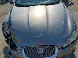 JAGUAR XF PREMIUM 2011 gray sedan 4d gas SAJWA0GB3BLS16913 photo #4