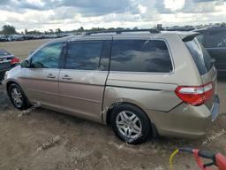 HONDA ODYSSEY EX 2005 gold  gas 5FNRL38485B424266 photo #3