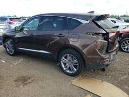 ACURA RDX ADVANC 2019 brown  gas 5J8TC2H73KL042263 photo #3