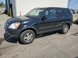 HONDA CR-V EX 2004 black  gas JHLRD78834C035248 photo #2