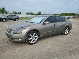 NISSAN MAXIMA SE 2004 tan  gas 1N4BA41E24C834160 photo #2