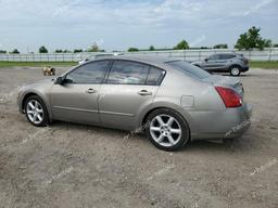 NISSAN MAXIMA SE 2004 tan  gas 1N4BA41E24C834160 photo #3