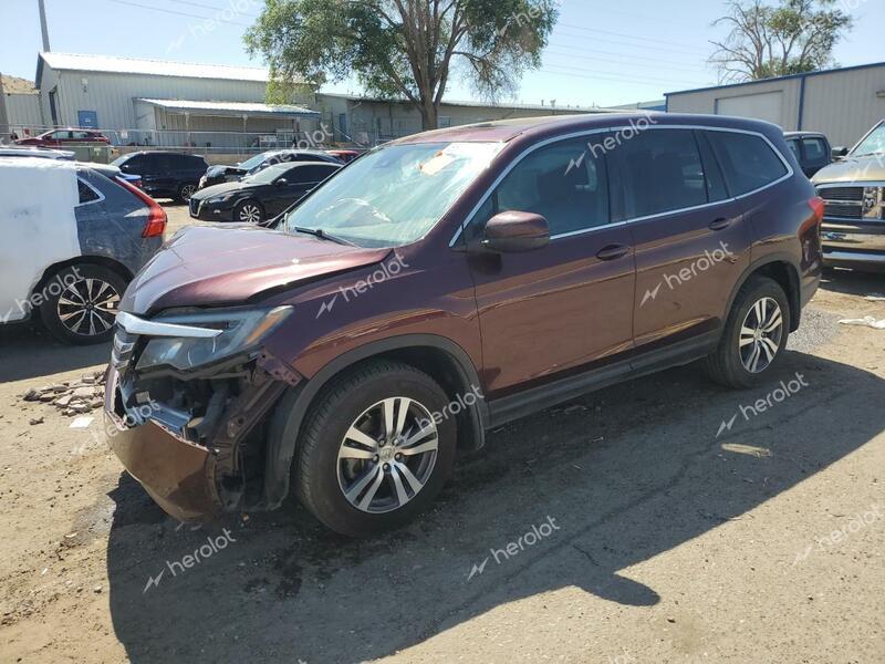 HONDA PILOT EXL 2016 burgundy  gas 5FNYF6H6XGB099418 photo #1