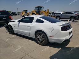 FORD MUSTANG GT 2014 white  gas 1ZVBP8CF3E5332279 photo #3