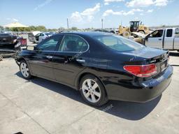 LEXUS ES 330 2005 black  gas JTHBA30G655090123 photo #3