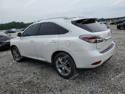 LEXUS RX 350 2015 white 4dr spor gas 2T2ZK1BA6FC190281 photo #3