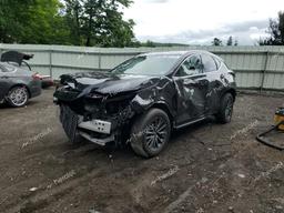 LEXUS NX 350 2023 black  gas 2T2GGCEZ6PC019831 photo #2