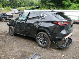 LEXUS NX 350 2023 black  gas 2T2GGCEZ6PC019831 photo #3