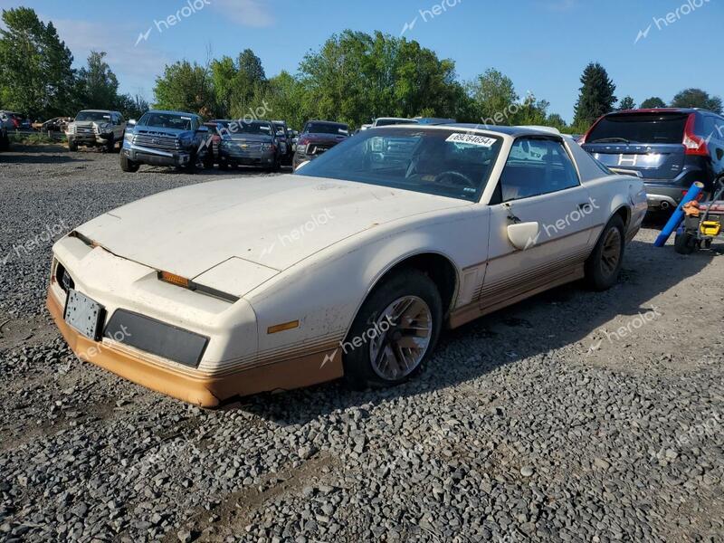 PONTIAC FIREBIRD T 1984 white hatchbac gas 1G2AW87G2EL225096 photo #1