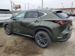 LEXUS NX 350 2023 green  gas 2T2AGCEZ0PC023380 photo #3