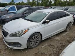 HYUNDAI SONATA SPO 2015 white sedan 4d gas 5NPE34AF2FH244915 photo #2