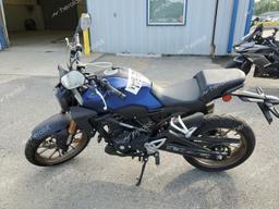 HONDA CBF300 NA 2022 blue  gas MLHNC5552N5200660 photo #4