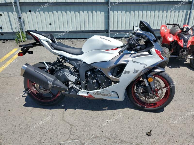 KAWASAKI ZX636 K 2024 white  gas JKBZXJK13RA003907 photo #1