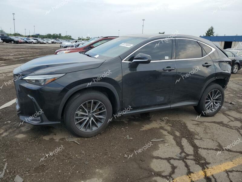 LEXUS NX 350 2023 black  gas 2T2GGCEZ6PC028268 photo #1