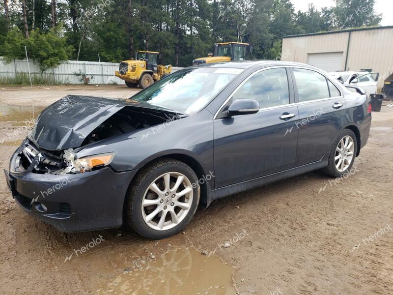 ACURA TSX 2008 gray  gas JH4CL95998C000555 photo #1