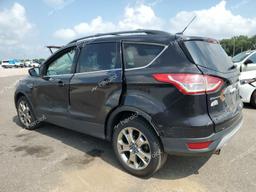 FORD ESCAPE SEL 2013 black 4dr spor gas 1FMCU0HX5DUB81254 photo #3