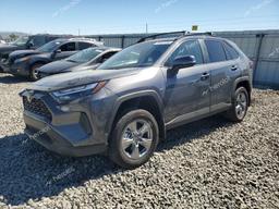 TOYOTA RAV4 XLE 2024 gray  gas 2T3P1RFV6RW452045 photo #2