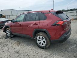 TOYOTA RAV4 LE 2024 red  gas 2T3H1RFV4RW302262 photo #3